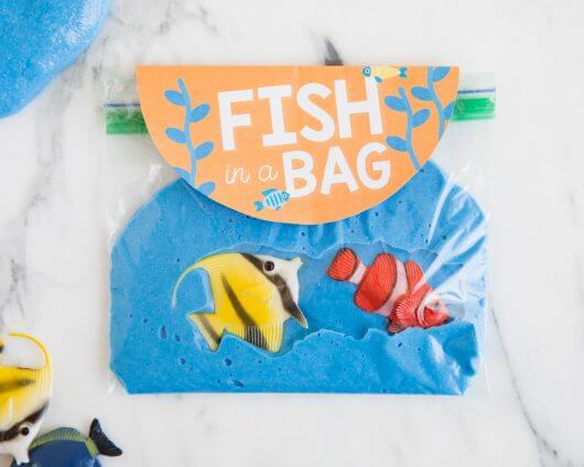 beach slime fish in a bag