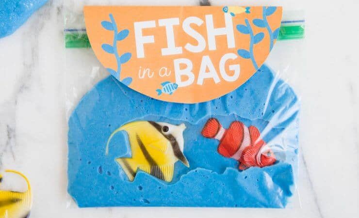 beach slime fish in a bag
