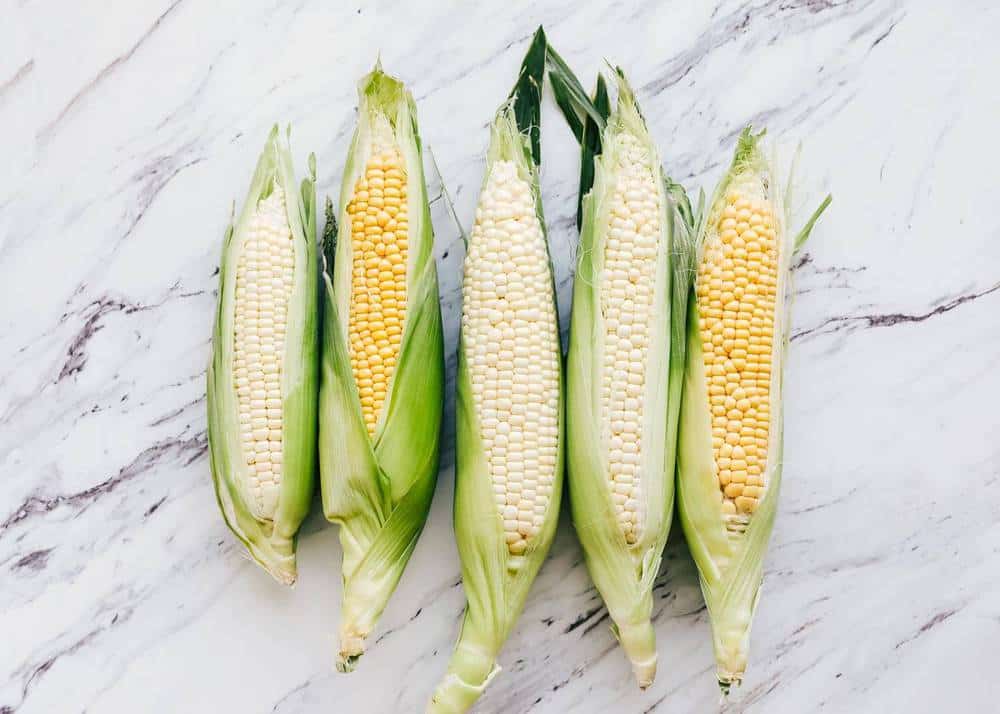 Corn on the cob on the granite counter top. 