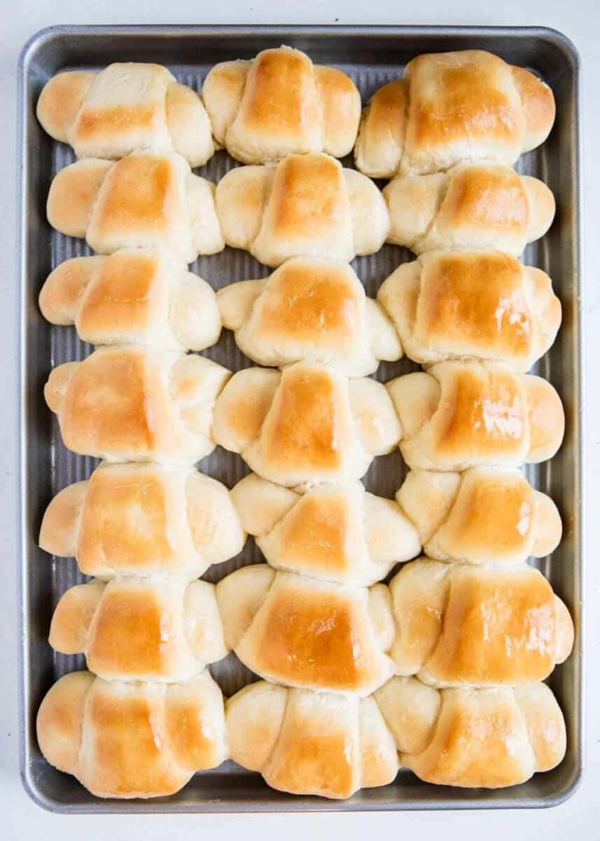 baked lion house rolls in pan 