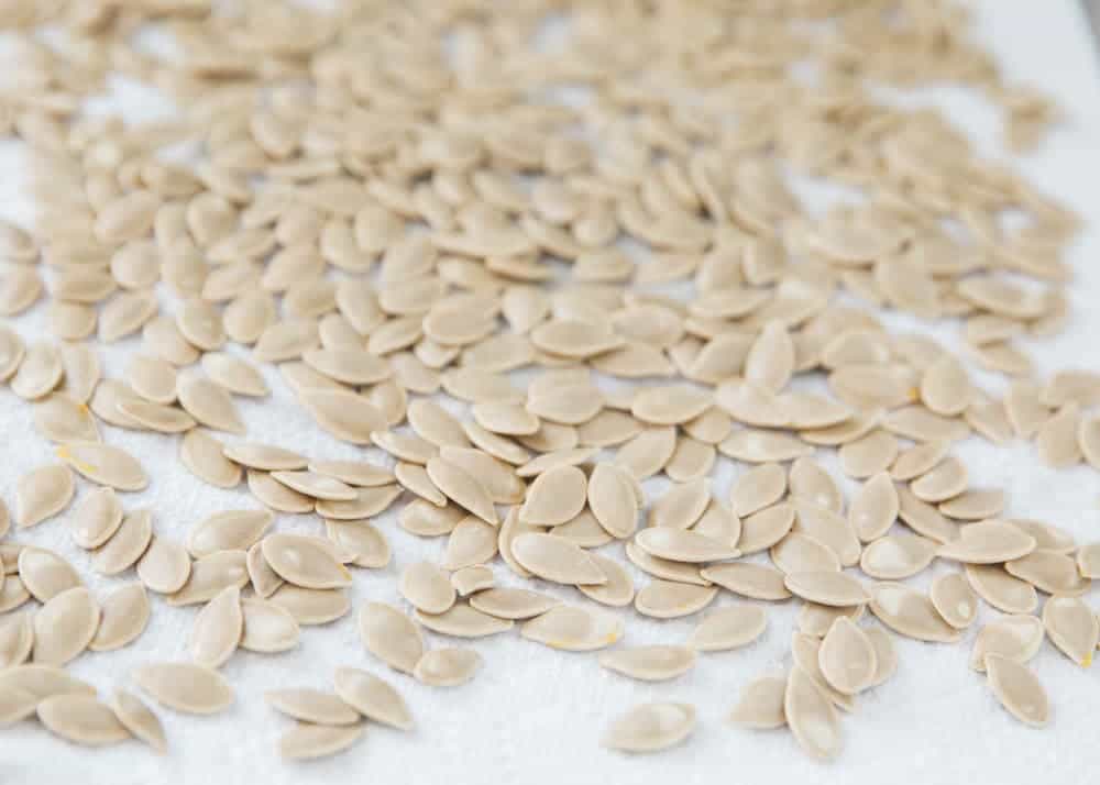 Pumpkin seeds drying on paper towel.