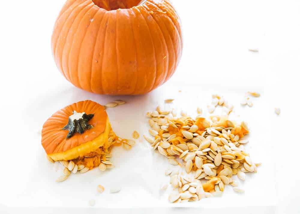 Scooping pumpkin seeds out of pumpkin.