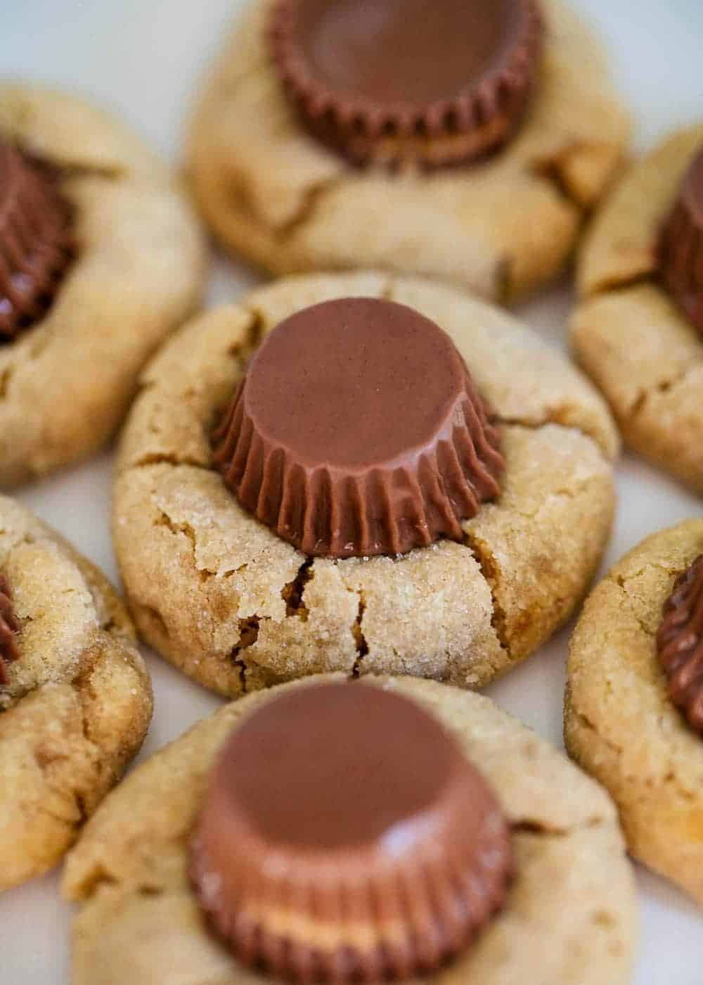 BEST EVER Peanut Butter Blossoms I Heart Naptime