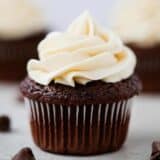 chocolate cupcakes