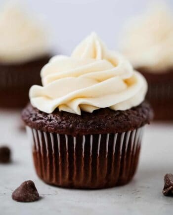 chocolate cupcakes