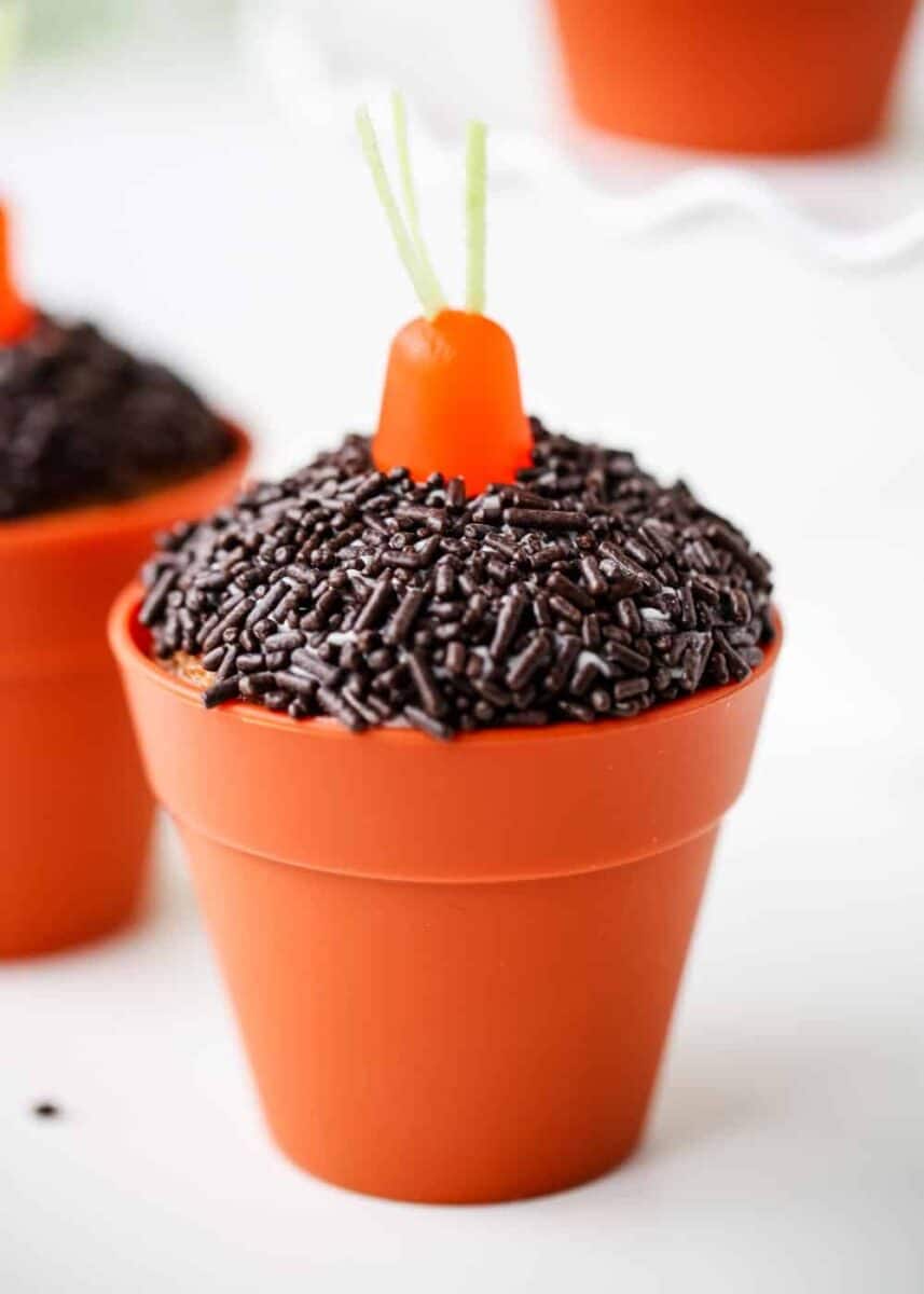 carrot cake cupcake recipe in flower pots