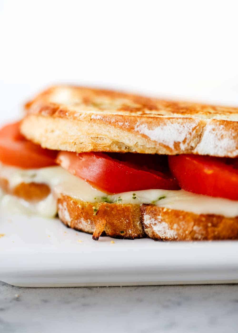 Close up of caprese sandwich on plate.