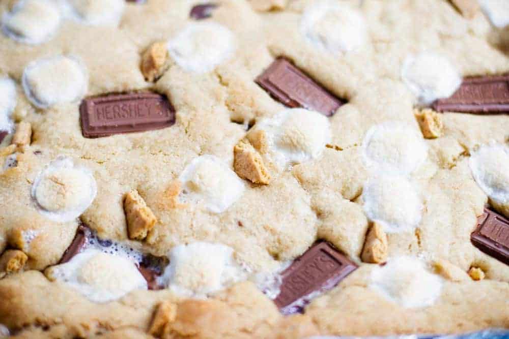 Closeup photo of s'mores cookie bars.