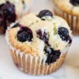 blueberry muffin