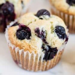 blueberry muffin