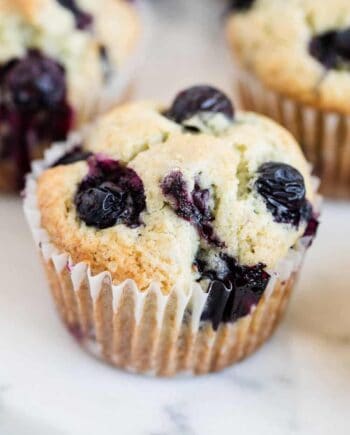 blueberry muffin