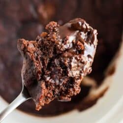 spoonful of chocolate cake