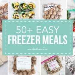 https://www.iheartnaptime.net/wp-content/uploads/2019/08/freezer-meals-3-250x250.jpg