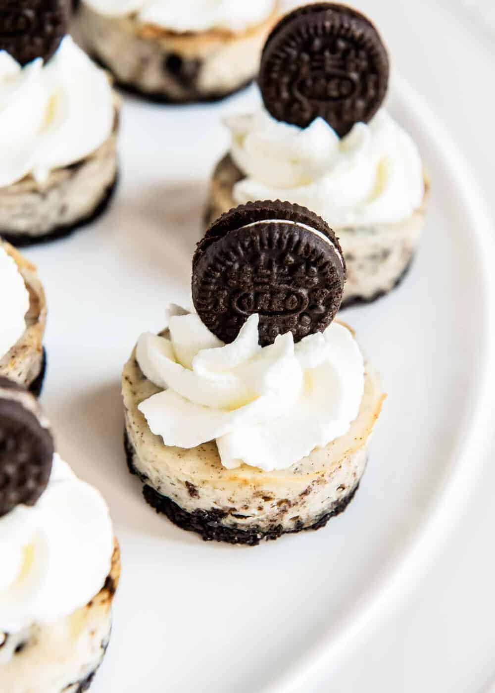 Mini cheesecakes with Oreo crust on white plate.