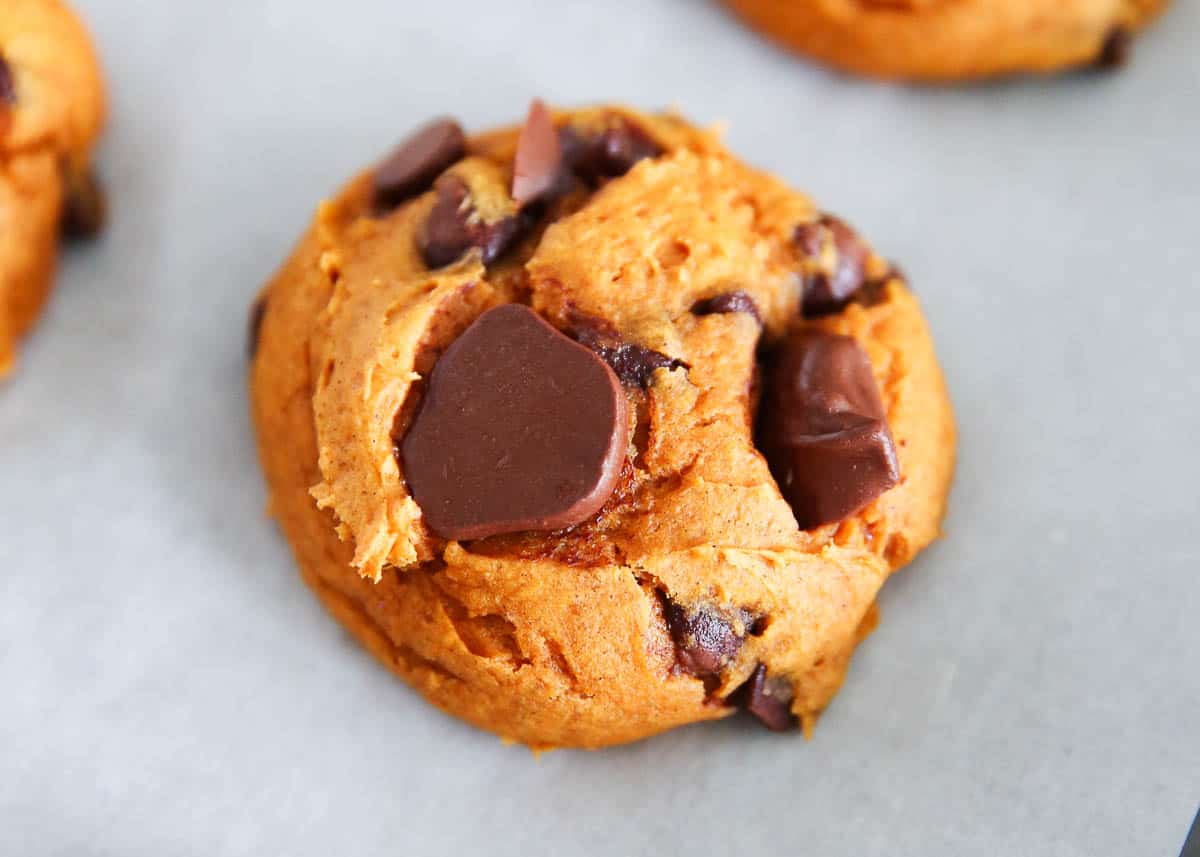 Pumpkin cake mix cookie with chocolate chips. 