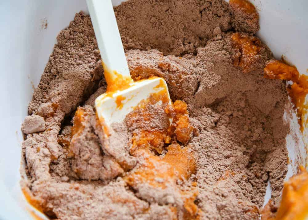 mixing together chocolate cake mix and pumpkin in a bowl 