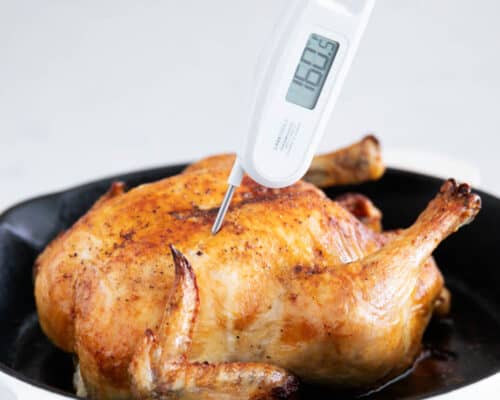 thermometer in chicken