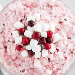 cranberry salad with marshmallows