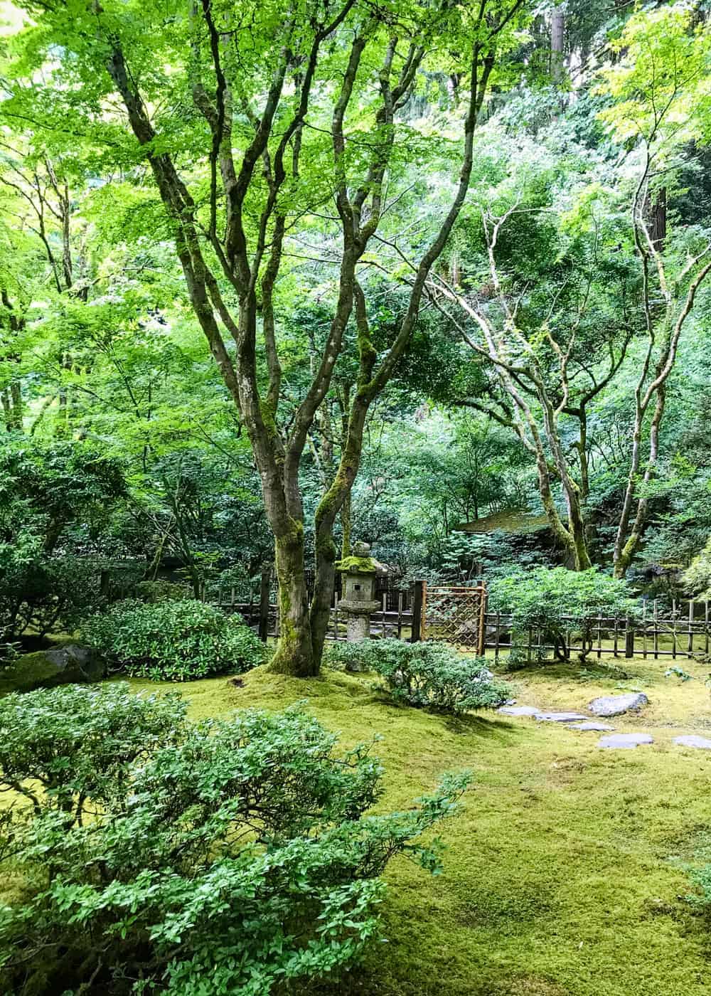Portland Japanse garden