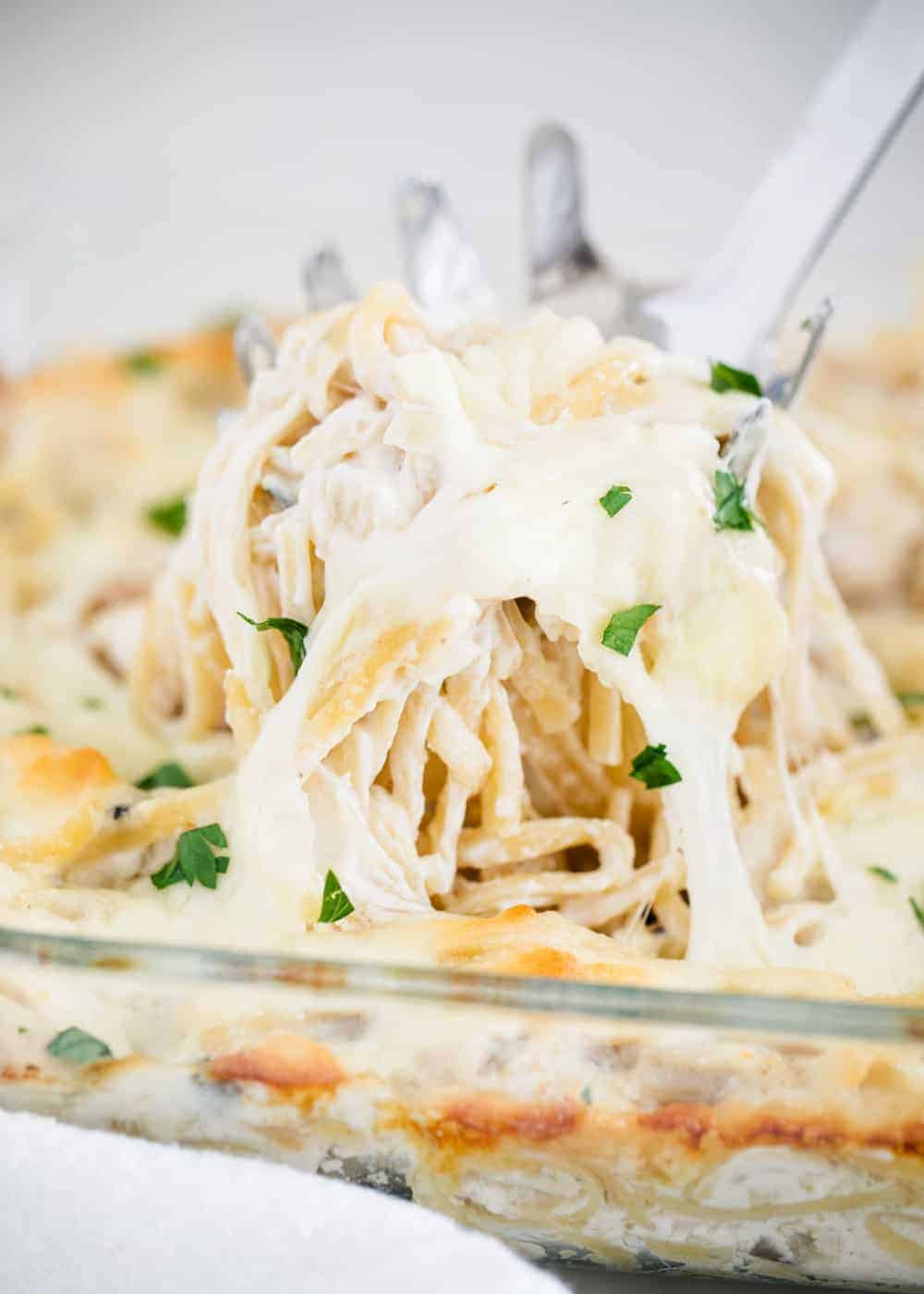 Leftover turkey tetrazzini being scooped out of dish.