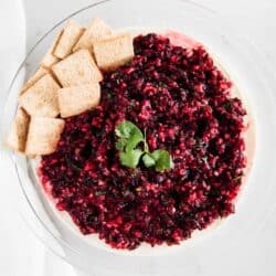 cranberry salsa with cilantro and crackers