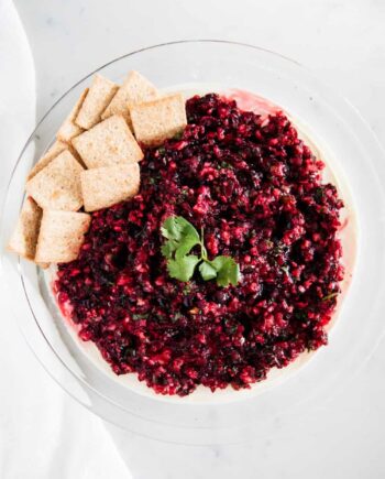 cranberry salsa with cilantro and crackers