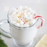 snickerdoodle hot chocolate in a glass mug with mini marshmallows and a candy cane