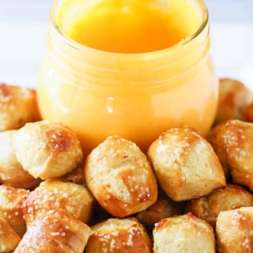 Pretzelmaker Pretzel Bites Copycat Recipe Bryont Blog