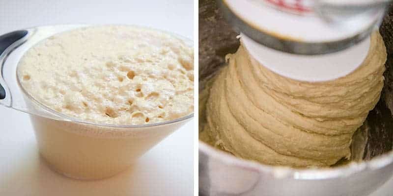 proofing the yeast for homemade bread 