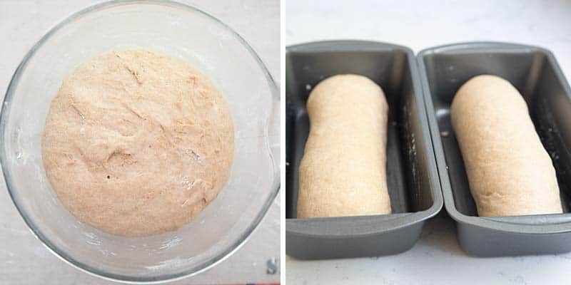 Making dough for whole wheat bread.