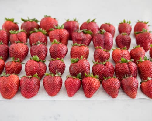 rows of strawberries
