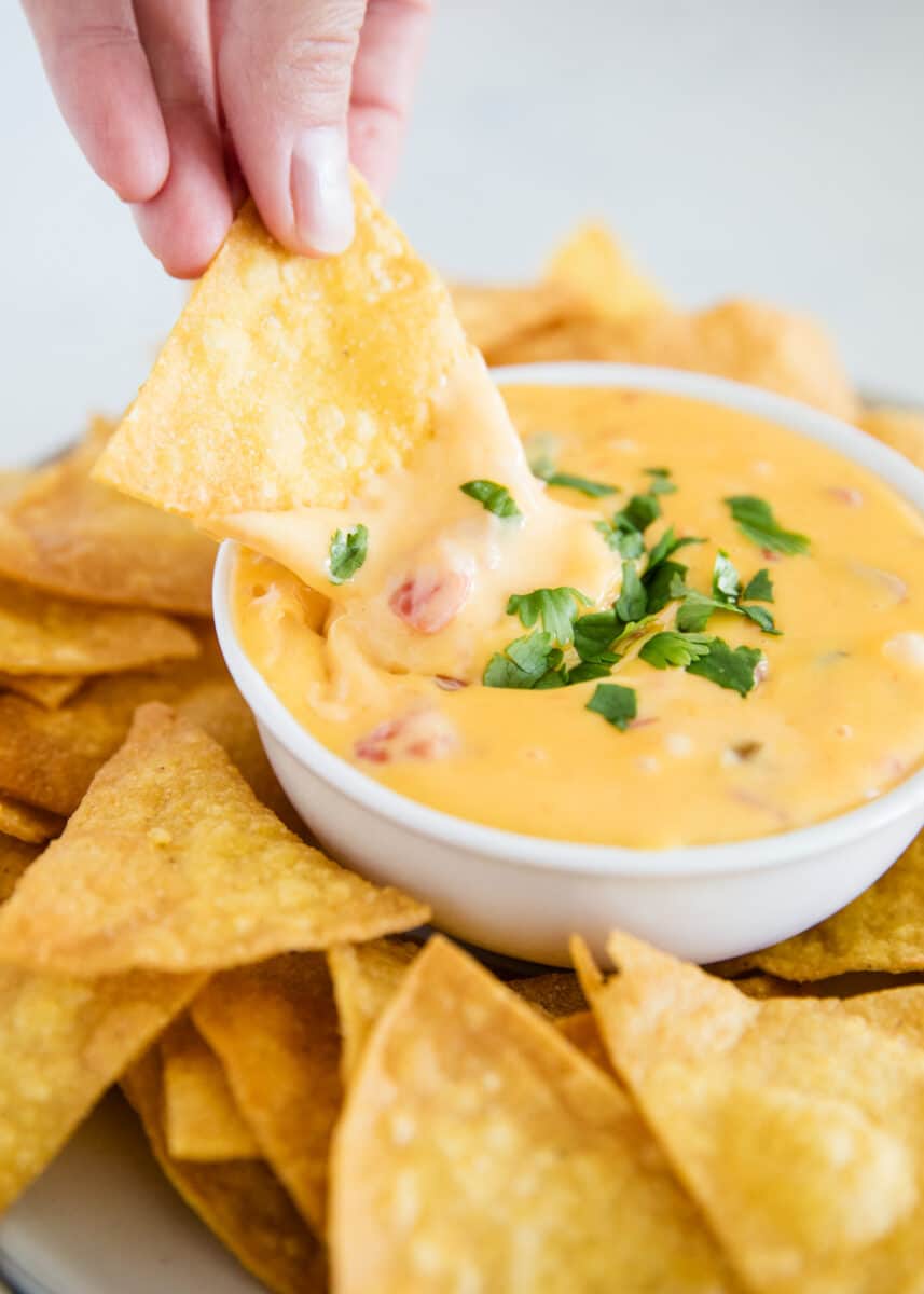 EASY 2-Ingredient Velveeta Queso - I Heart Naptime