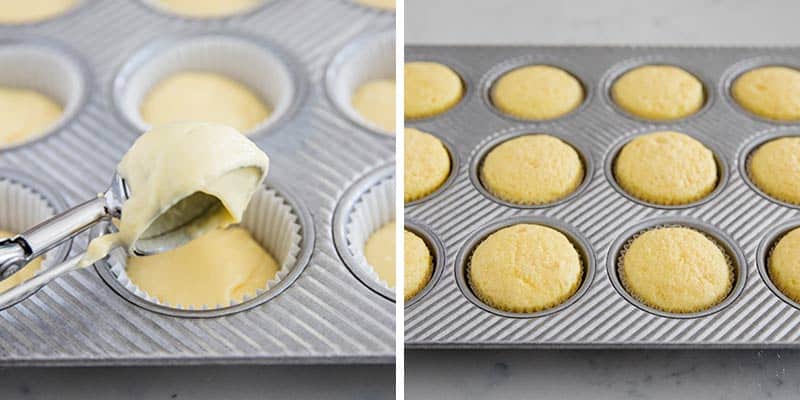 Baking vanilla cupcakes in muffin pan.