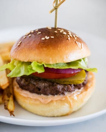 hamburger on white plate with french fries
