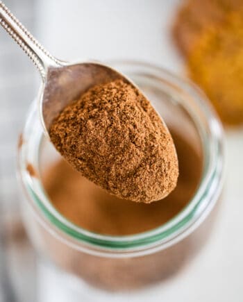 spoonful of pumpkin pie spice