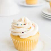 vanilla frosted cupcake