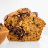 chocolate chip pumpkin muffin