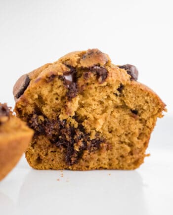 chocolate chip pumpkin muffin