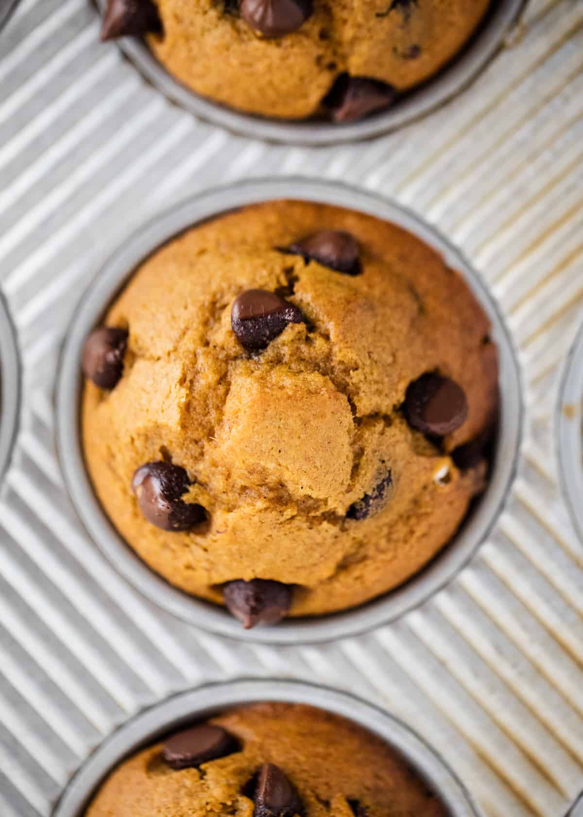 Easy pumpkin chocolate chip muffins made in just one bowl in 30 minutes. Moist, fluffy and bursting with chocolate chips. These make the perfect breakfast, snack or dessert! A close up of pumpkin chocolate chip muffins in a muffin tin.