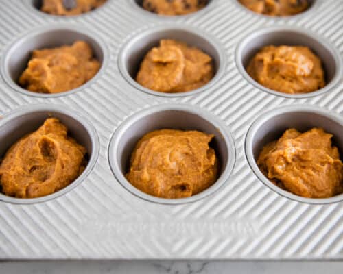 pumpkin batter in muffin pan