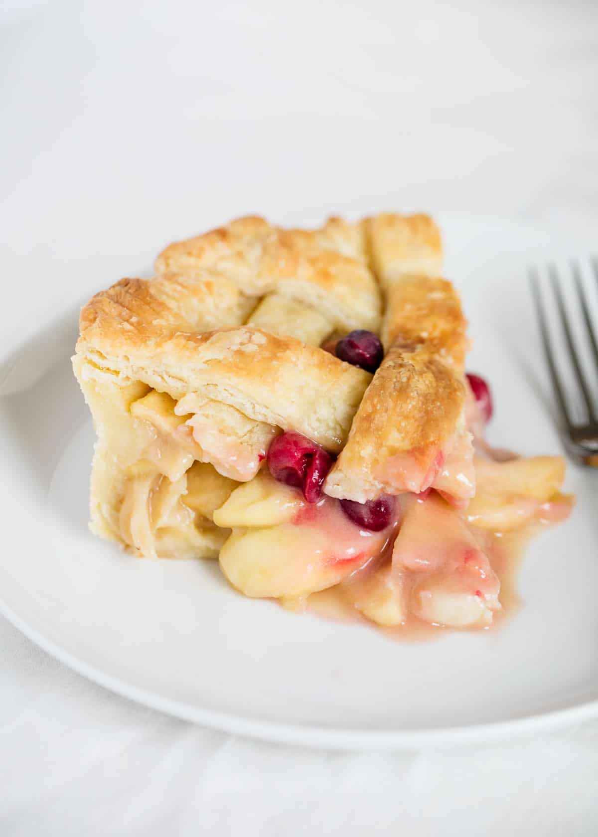 Apple cranberry pie on plate.