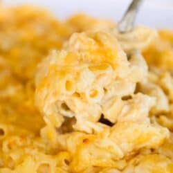 spoonful of baked macaroni and cheese