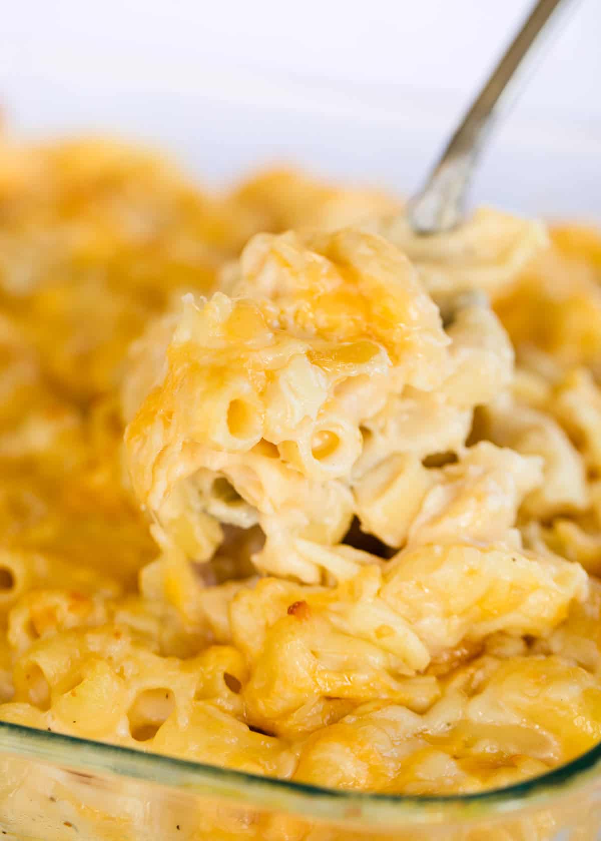 Spoonful of baked macaroni and cheese.