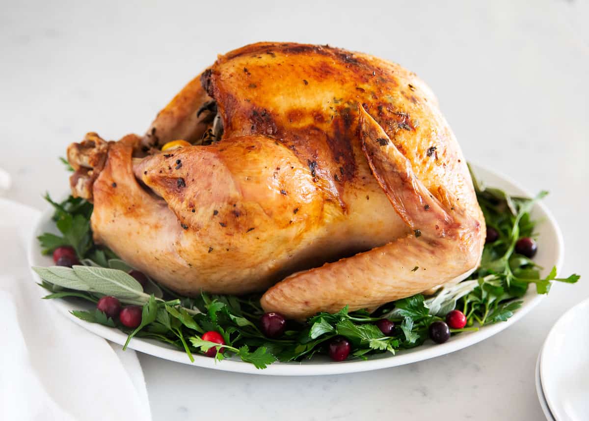 Turkey on white plate.