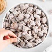 puppy chow in bowl