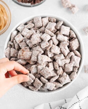 puppy chow in bowl
