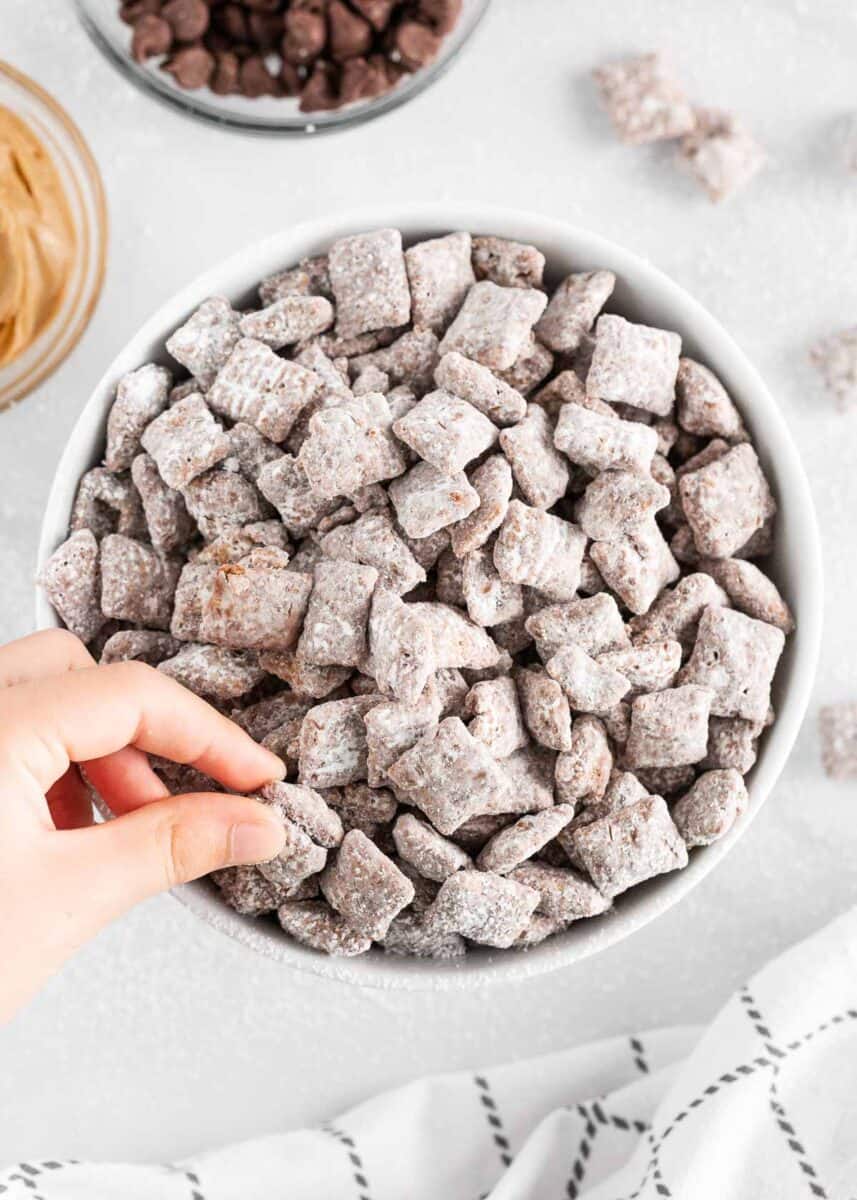 puppy chow in bowl