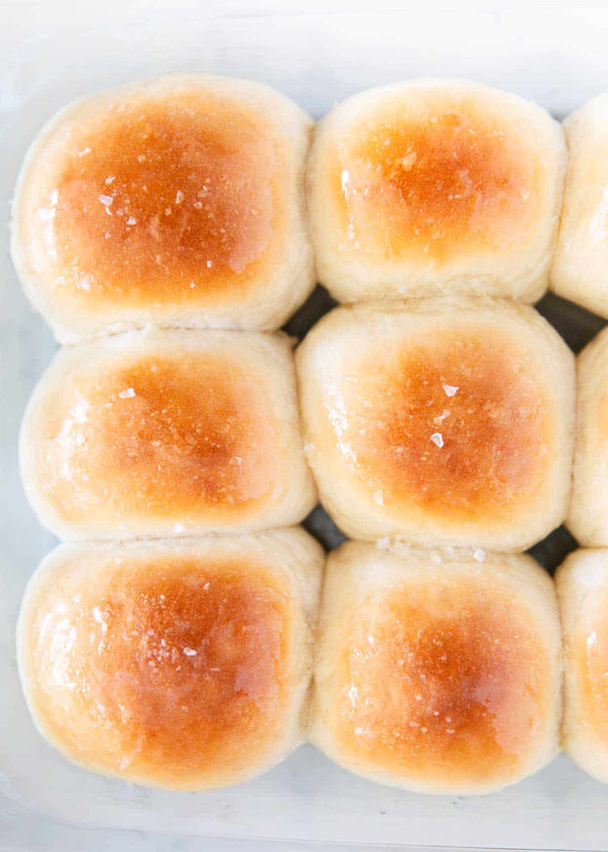 Dinner rolls in a baking dish.