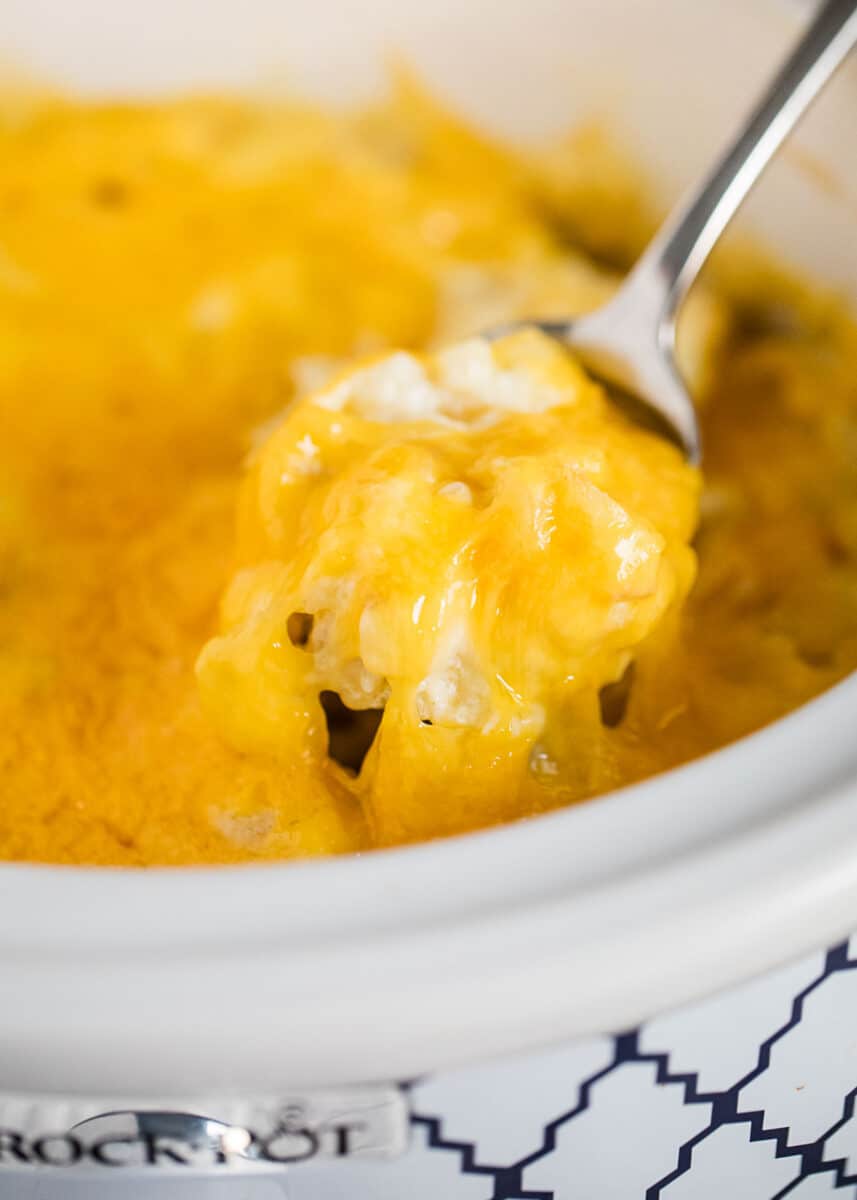 spoonful of cheesy potatoes
