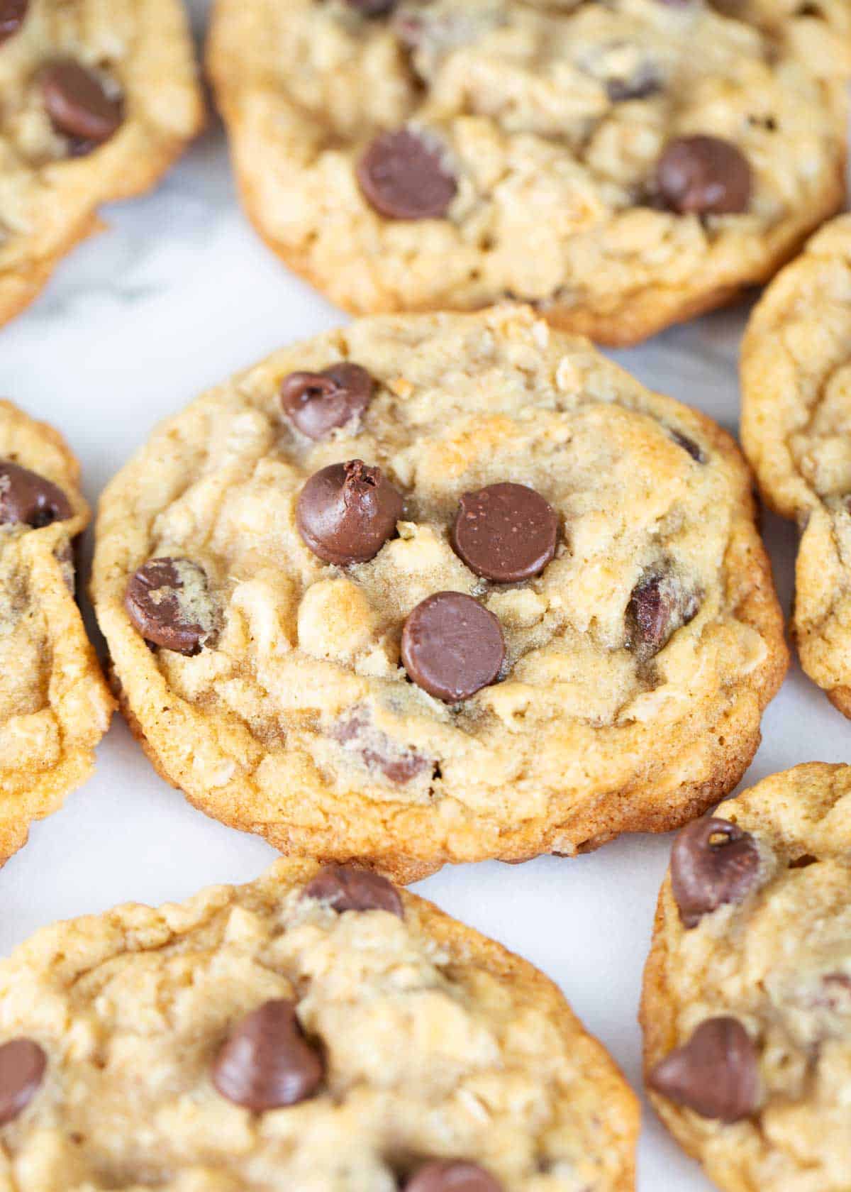 Oatmeal cookies with chocolate chips on counter.